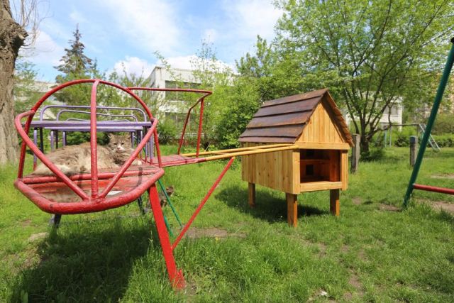 187542084_921483395094162_3937957698738216483_n