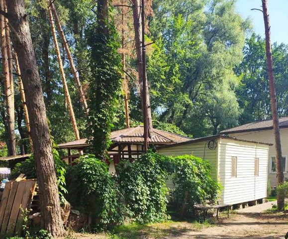 187880612_4124870827535297_765991680142412893_n