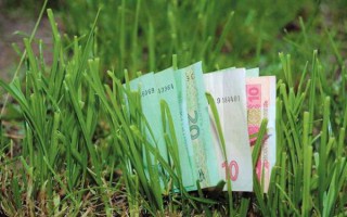 земелька-e1562594071245