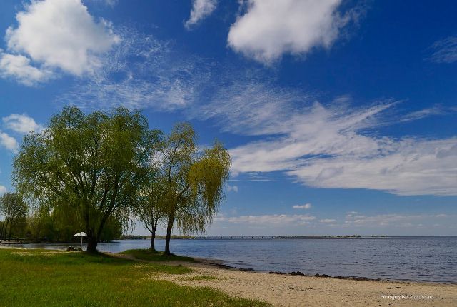 185243219_1833487570153586_8070246364532280219_n