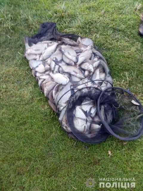 186553470_1120683431750522_534980706383747796_n