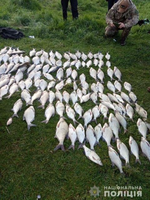 187751101_1120683425083856_5938294916337819910_n