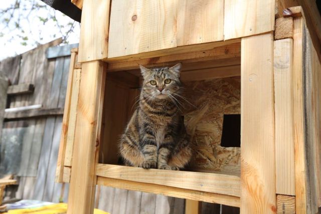 189607739_921483061760862_4007701794105641195_n