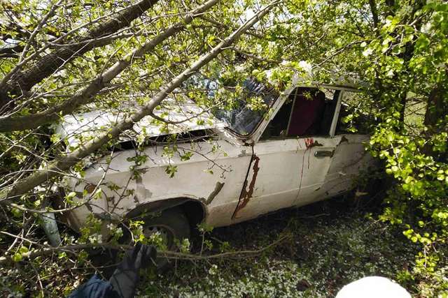 184067236_5496508123754870_9201173033680937239_n