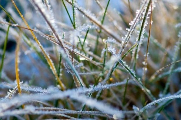 df2b487e7182cdde0abceab342ace431