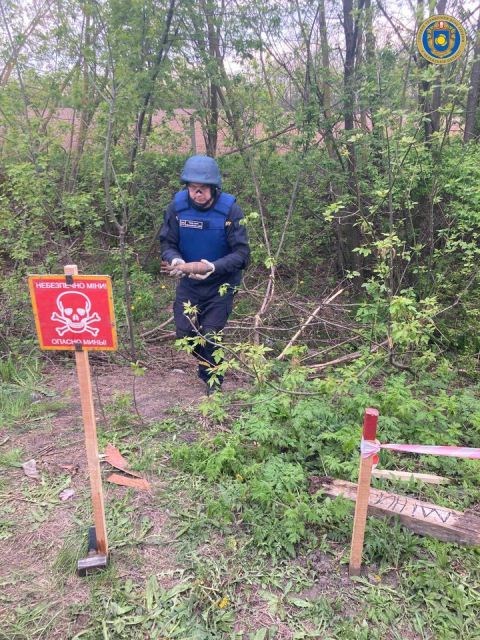 183724056_3990399390996672_5589848629451891539_n