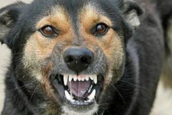 700x371-6210f5cb4d2aa