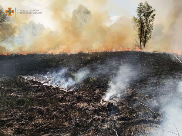 279522781_365578278940219_469556710393481101_n