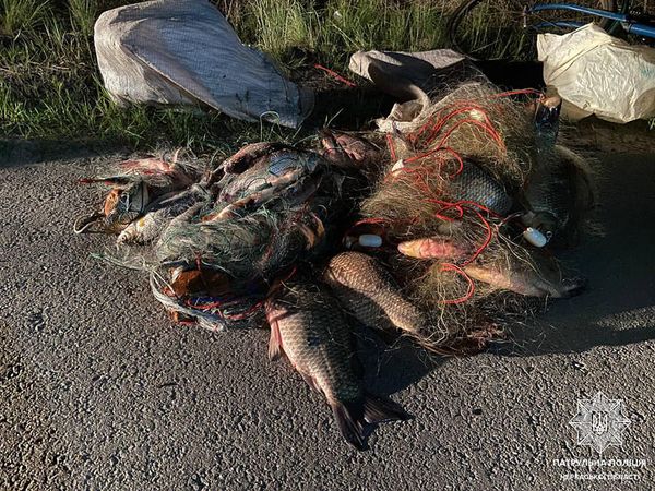 279825588_363968785775428_8969428757289044967_n