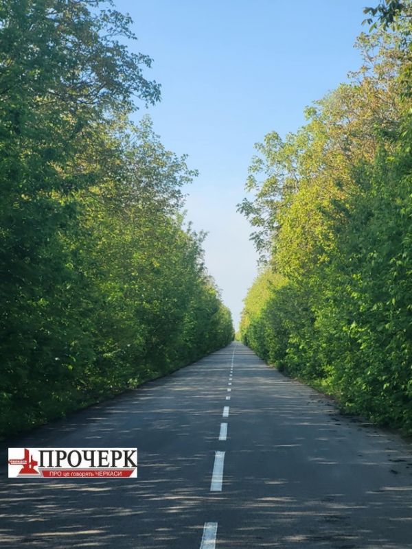 Без назви