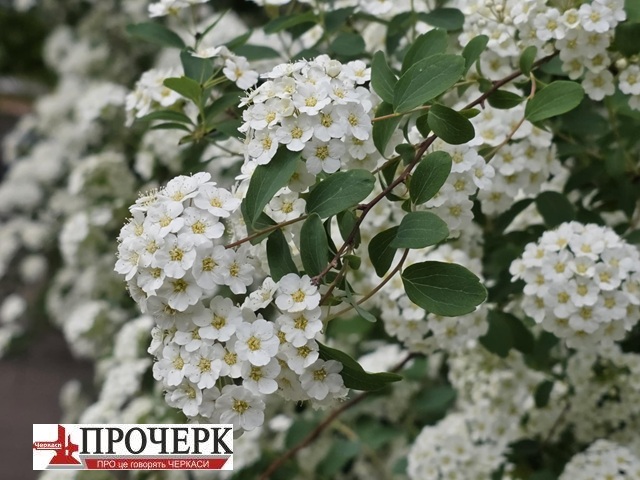 Без назви3
