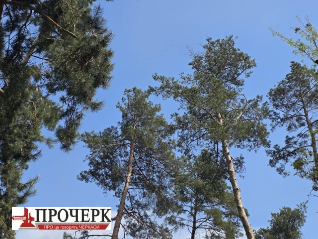 Без назви
