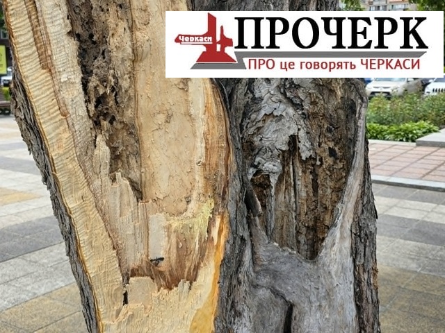 Без назви04