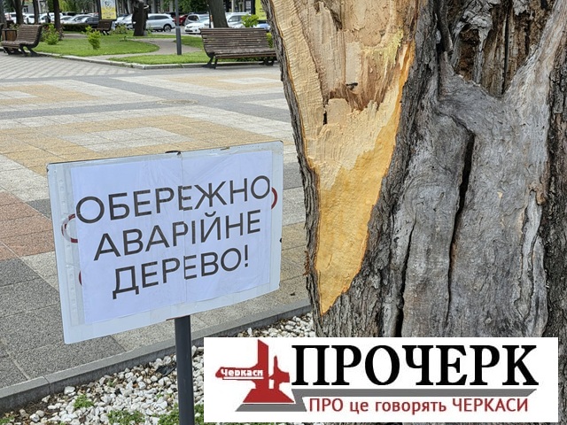Без назви