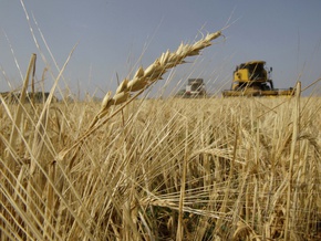 На Черкащині до аграрних активів найбагатшого українця належать землі, якими опікується "Уманьферммаш" ("Ілліч-Агро Умань")