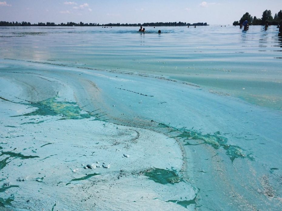 Фото зі спільноти "Справжні Черкаси"
