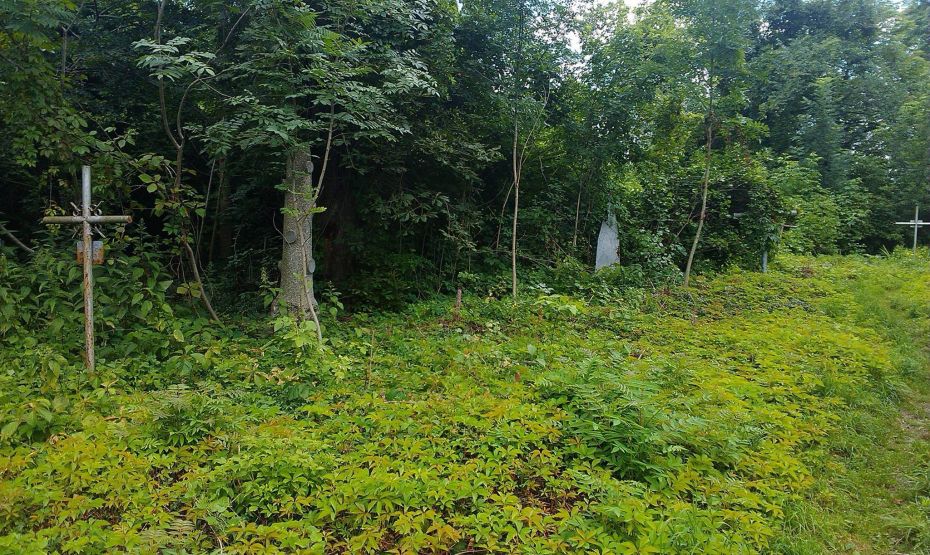 13474971_609541242547267_2741202473482862942_o