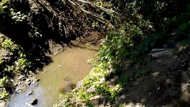 36697058_2014139828916053_3096999087765979136_o-600x338