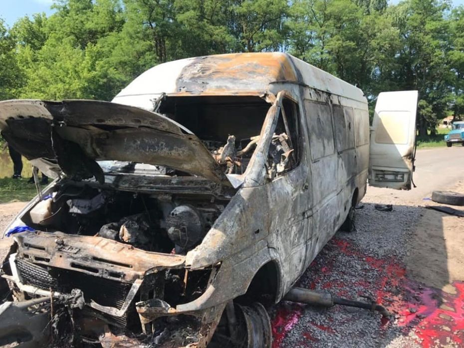 64277438_1308497892647961_6360119917039058944_n