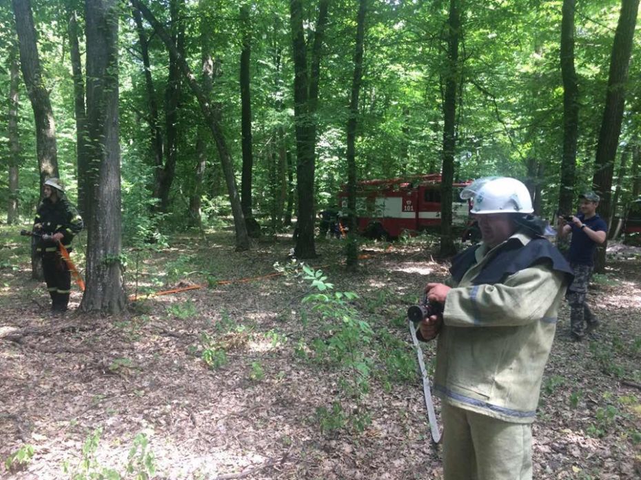 65301425_2306391416286310_4866492117268037632_n