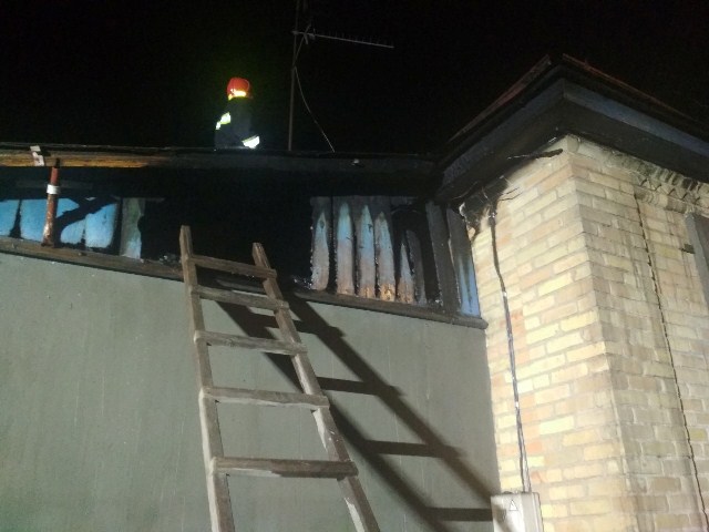 65055793_1559574617510280_6367618500441145344_o