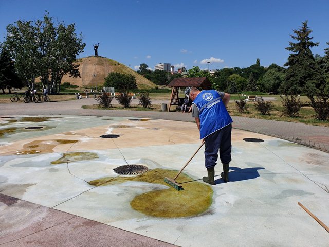 65388107_2233895093326354_2955620979268648960_o