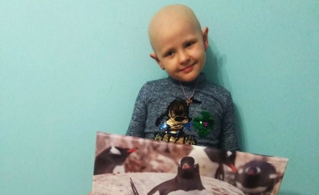 56236111_868345510163308_7906345767512571904_n-710x434