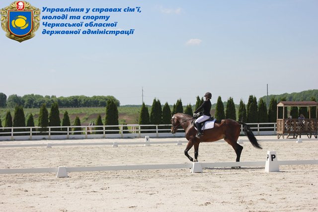 62255059_2439273126341175_2331261806787428352_o