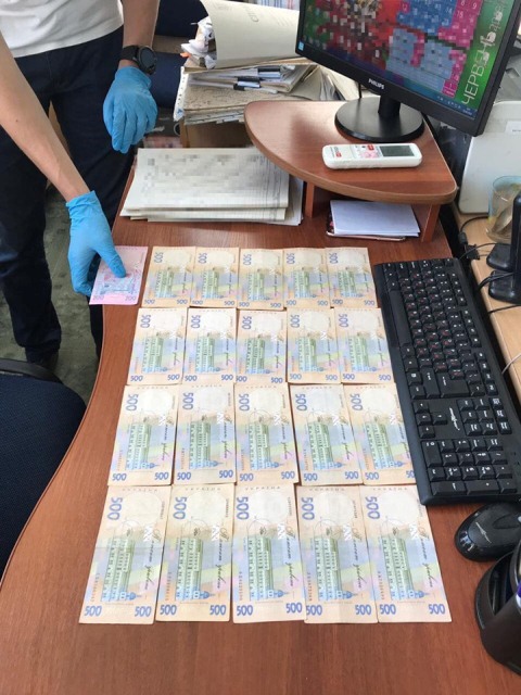 61695051_877159225971053_5396899563049058304_n