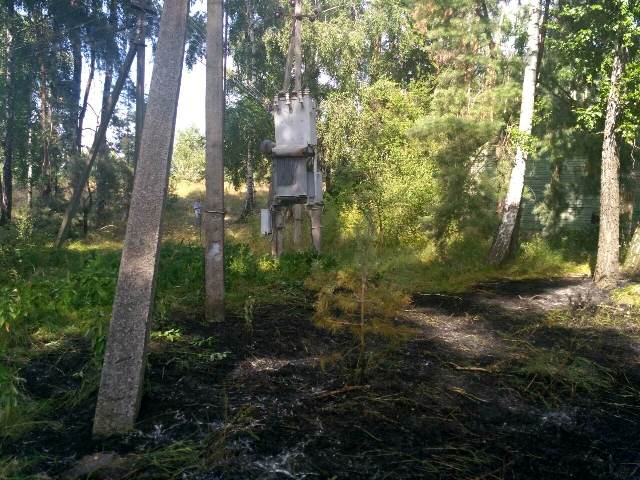 65482745_1562326617235080_5391186212868325376_o