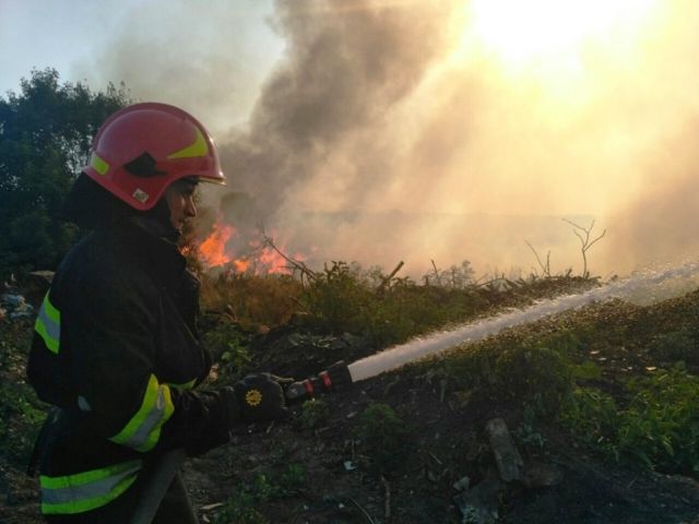 65772110_1382701448534735_2103025981957603328_n