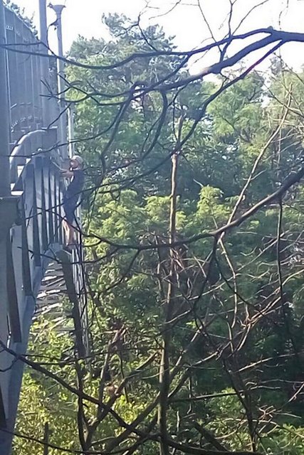 61866969_2054822487972993_700351845620514816_n