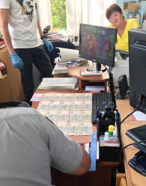 61624479_877159292637713_9137462438847840256_n