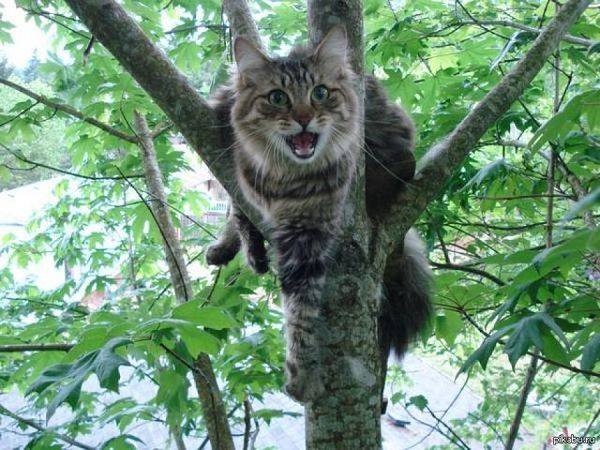 65148614_1559547534179655_3818546107365982208_n