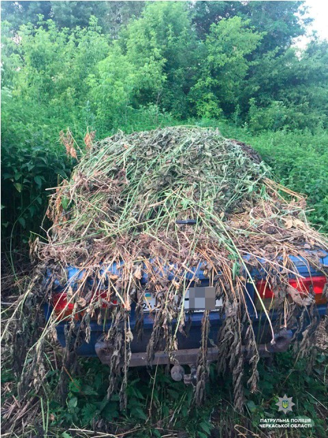 62360534_2241328459278551_585800347667136512_n