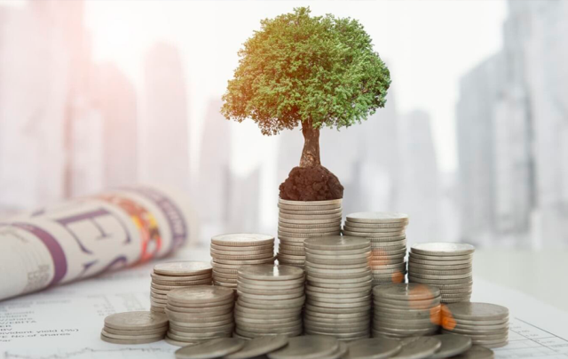 a4986f3300d355c10b1f4c33f8485024