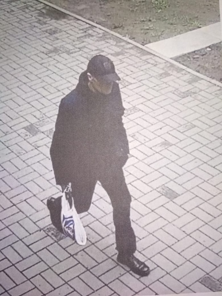 65175472_2294510190803782_5119419344010346496_n