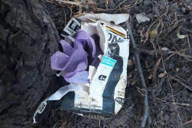 photo_2019-06-07_08-57-03