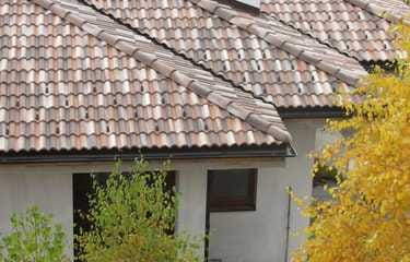 62080022_2745941585478218_3155693329149067264_n