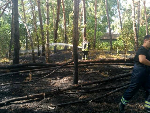 65227170_1562326697235072_104550683784511488_o