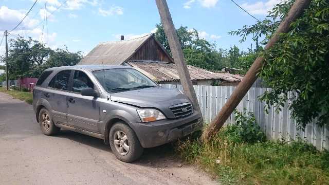 61913267_2321704037897037_4058106184702361600_n