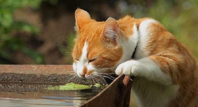 1560160214_11111111111111