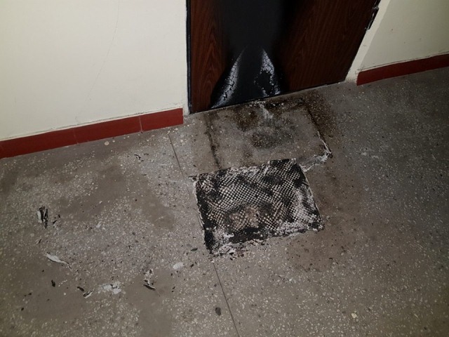 64742055_1553984058069336_2386682986738221056_n