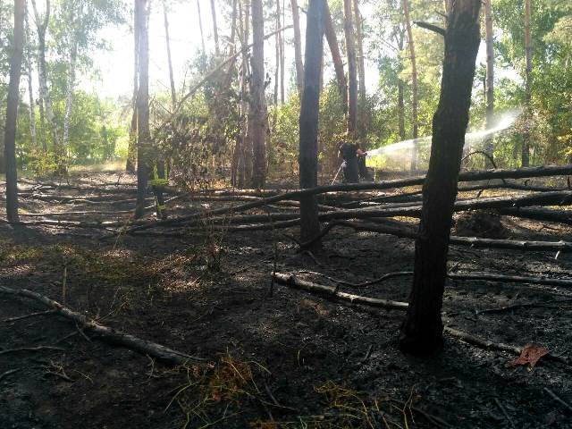 64314669_1562326733901735_1057804286991269888_o