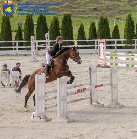 62541606_2439273146341173_3727138646277488640_n