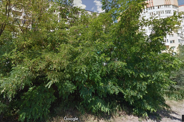 Безымянный