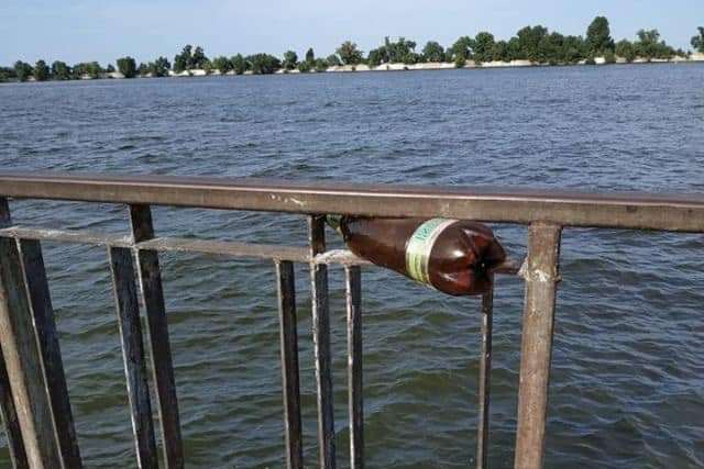 64217490_1179749435530026_8043808832930971648_n