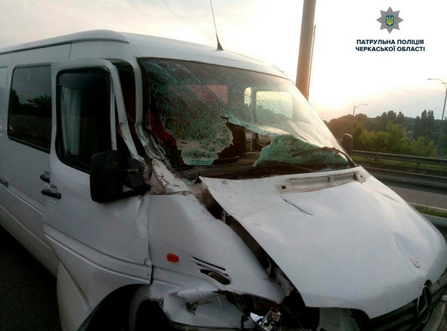 61723080_2232548833489847_6471659616420757504_n