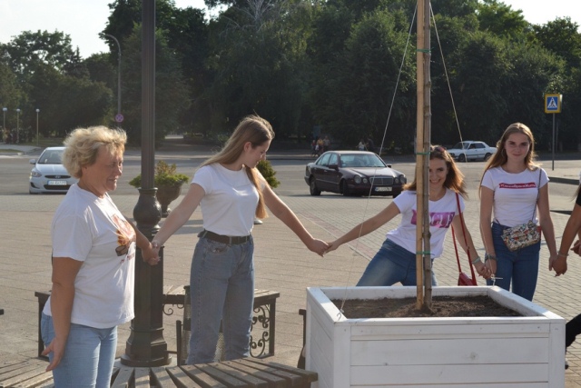 vy-sadzhennya-kleniv-1