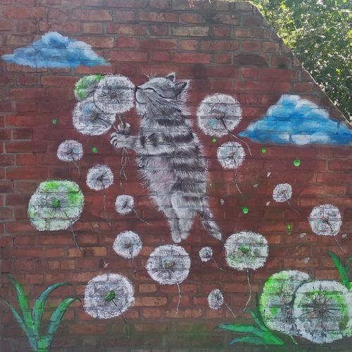 62547286_400116527266787_3607773258784440320_n-500x500